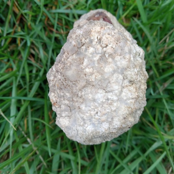 1-1/2 Lb Whole Unopened Hollow Break Your Own Geodes Rattler - Picture 1 of 10